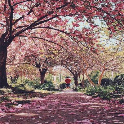 开开棋牌手机app下载